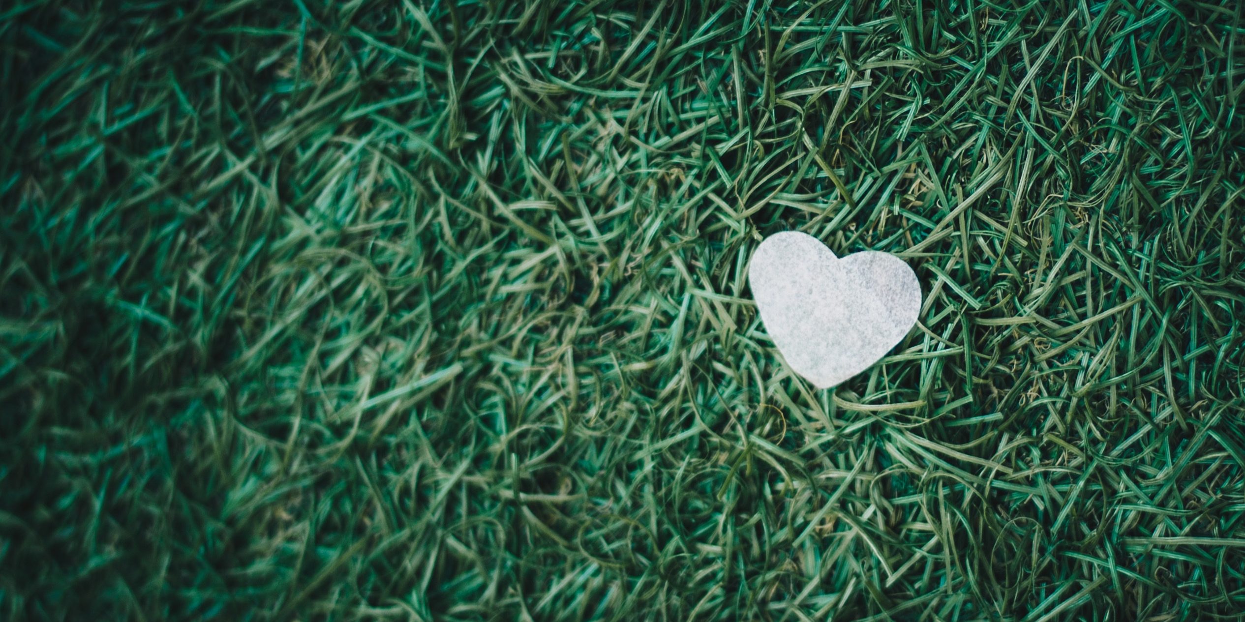 A small plastic heart-shape sits on a background of green grass.