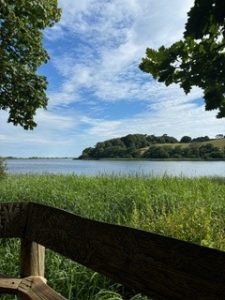 View of a lake and grass, with blue sky and clouds.