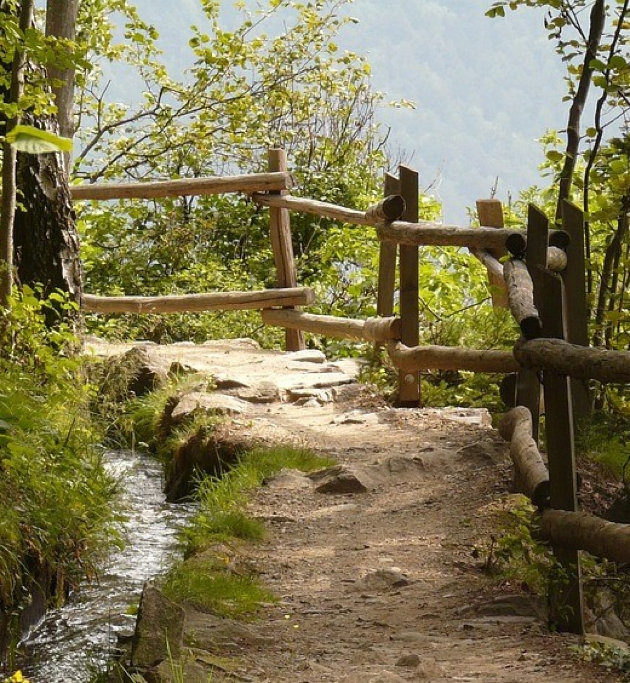 Walking trail by a stream and grass