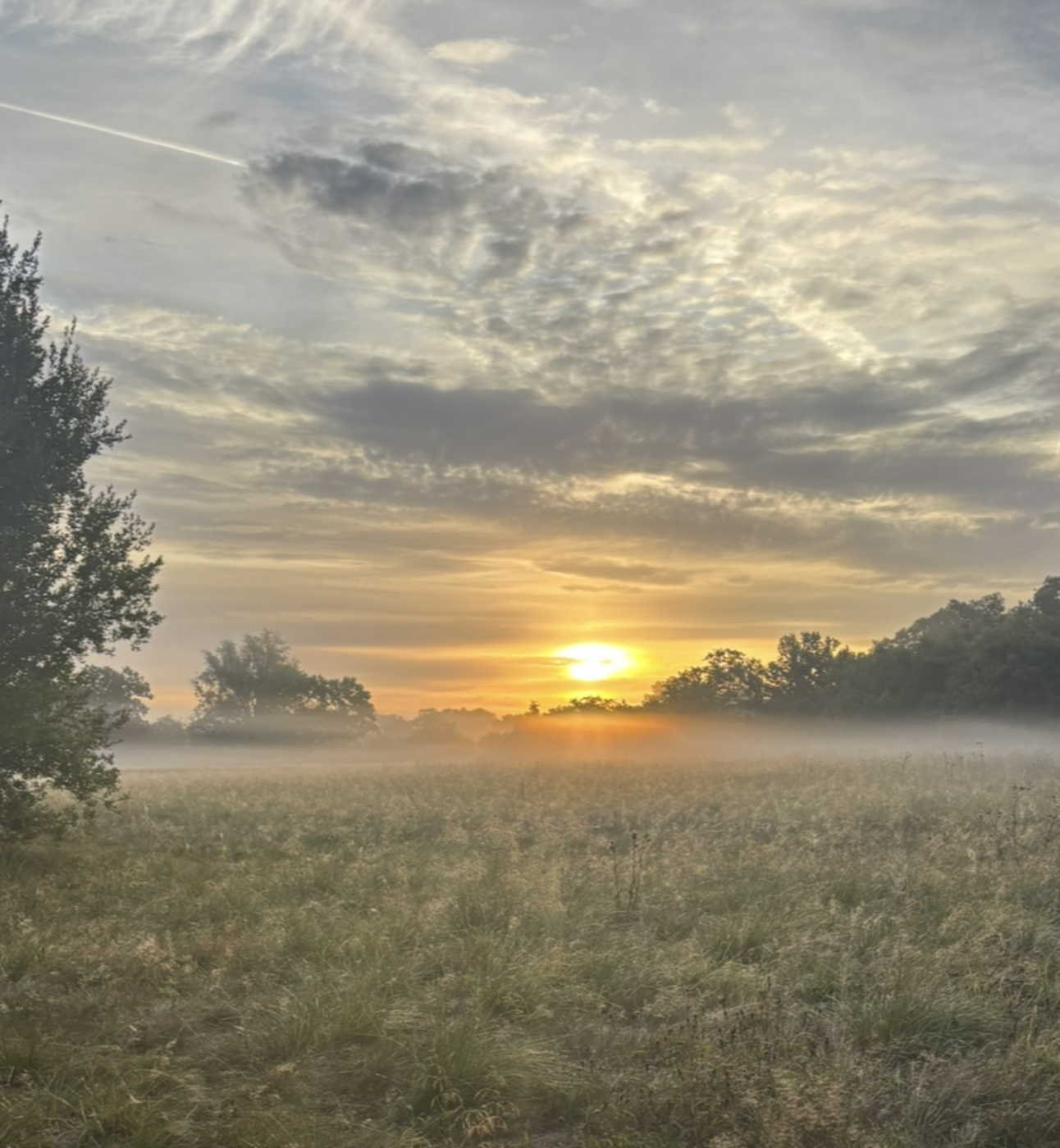A photo taken of a large green field, with a tree on the left. The photo shows a lot of sky, with the sun just setting and a pattern of clouds across the sky.