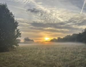 A photo taken of a large green field, with a tree on the left. The photo shows a lot of sky, with the sun just setting and a pattern of clouds across the sky.